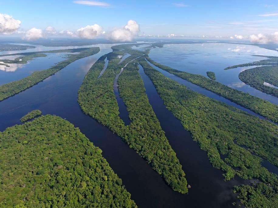 Vista área de rios na floresta amazônica